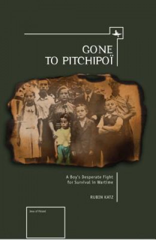 Книга Gone To Pitchipoi Rubin Katz