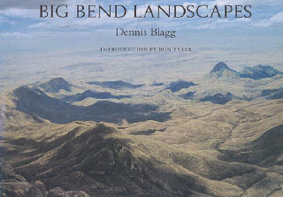 Knjiga Grandeur of West Texas Dennis Blagg