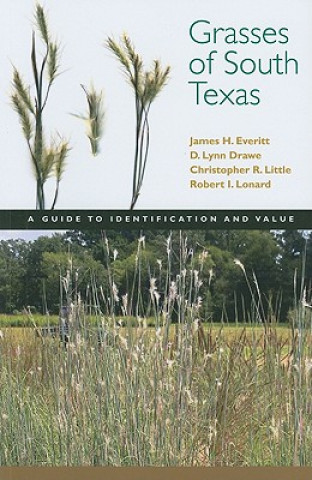 Livre Grasses of South Texas Robert I. Lonrad