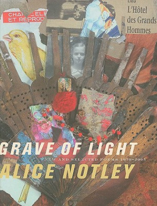 Knjiga Grave of Light Alice Notley