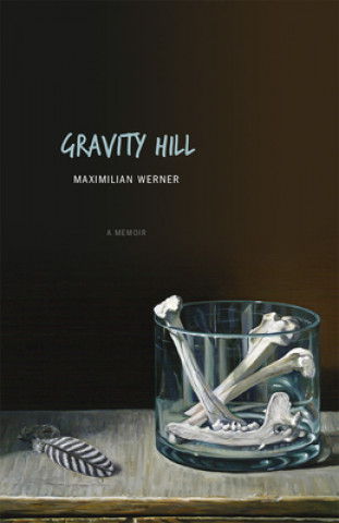 Könyv Gravity Hill Maximilian Werner