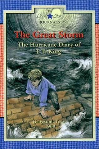 Libro Great Storm Lisa Waller Rogers