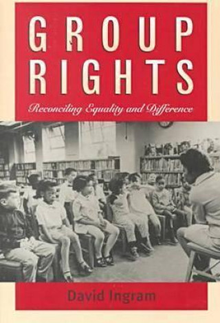 Kniha Group Rights David Ingram