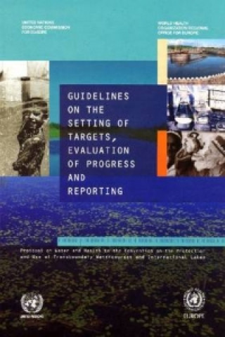 Libro Guidelines on the Setting of Targets Evaluation of Progress and Reporting 