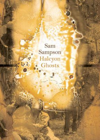 Kniha Halcyon Ghosts Sam Sampson