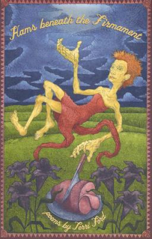 Książka Hams Beneath the Firmament Terri Ford