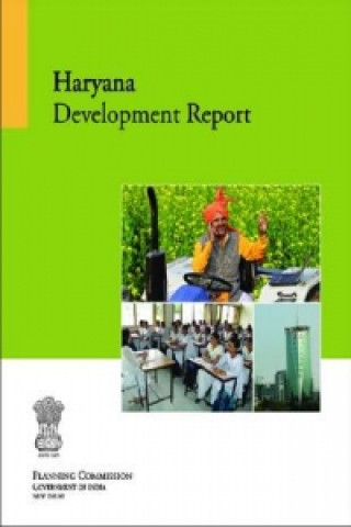 Könyv Haryana Development Report Planning Commission Government of India
