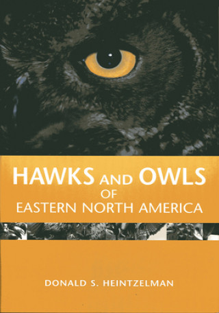 Kniha Hawks and Owls of Eastern North America Donald S. Heintzelman