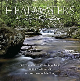 Knjiga Headwaters Beth Maynor Young