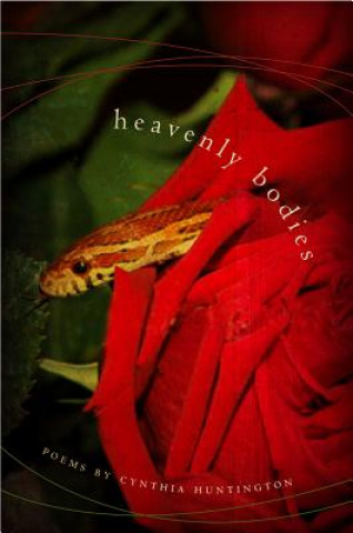 Livre Heavenly Bodies Cynthia Huntington