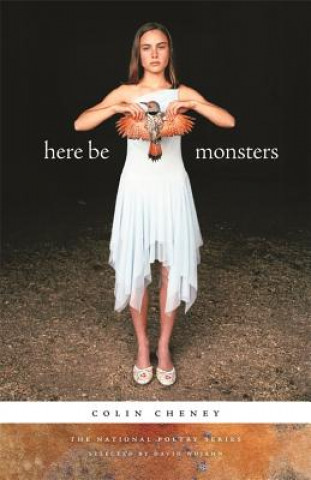 Carte Here be Monsters Colin Cheney