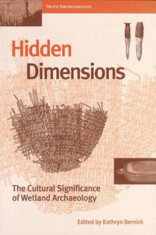 Kniha Hidden Dimensions Kathryn Bernick