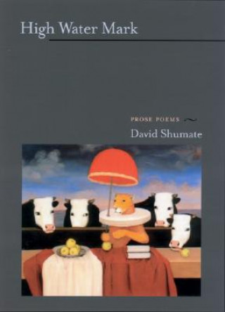 Book High Water Mark David Shumate