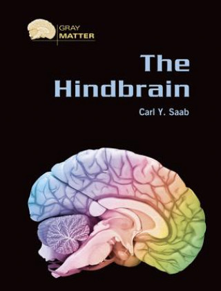 Kniha Hindbrain Carl Y. Saab