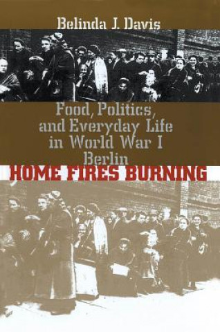 Knjiga Home Fires Burning Belinda J. Davis