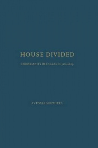 Carte House Divided Antonia Southern