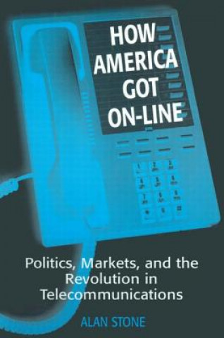 Kniha How America Got On-line Alan Stone