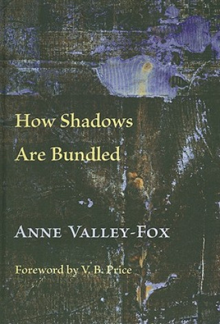 Kniha How Shadows are Bundled Anne Valley-Fox