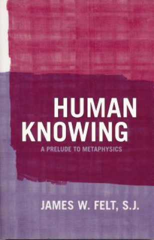 Kniha Human Knowing James W. Felt