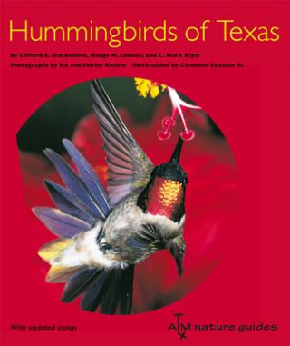 Buch Hummingbirds of Texas C.Mark Klym