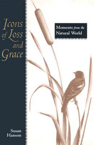 Книга Icons of Loss and Grace Melanie Fain