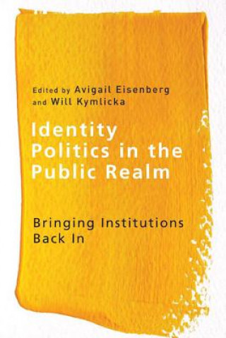 Kniha Identity Politics in the Public Realm 