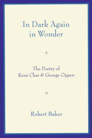 Buch In Dark Again in Wonder Robert Baker