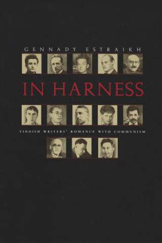 Kniha In Harness Gennady J. Estraikh