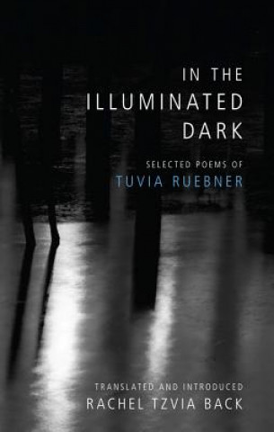 Kniha In the Illuminated Dark Tuvia Ruebner