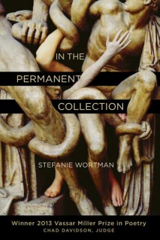 Könyv In the Permanent Collection Stephanie Wortman