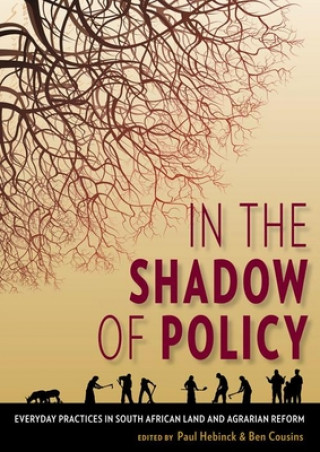 Книга In the Shadow of Policy Paul Hebinck