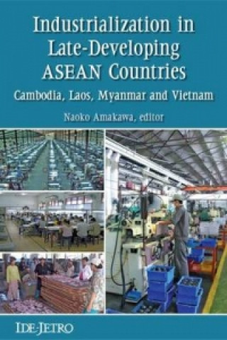 Könyv Industrialization with a Weak State Somboon Siriprachai
