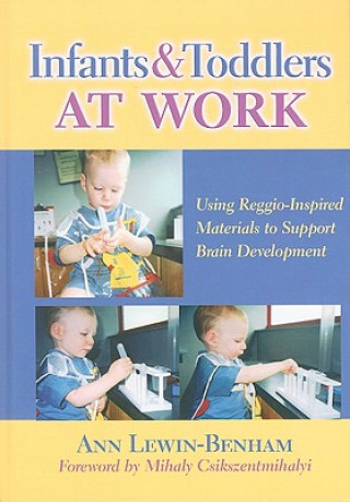 Libro Infants and Toddlers at Work Ann Lewin-Benham