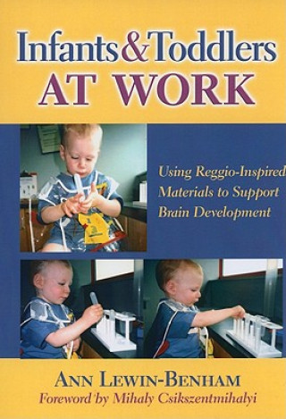 Carte Infants & Toddlers at Work Ann Lewin-Benham