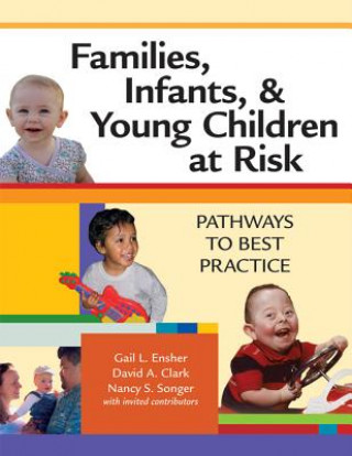 Kniha Families, Infants and Young Children at Risk Nancy S. Songer