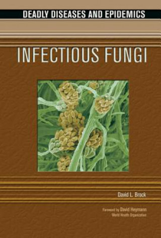 Książka Infectious Fungi David Brock