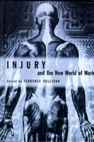 Buch Injury and the New World of Work Terrence Sullivan