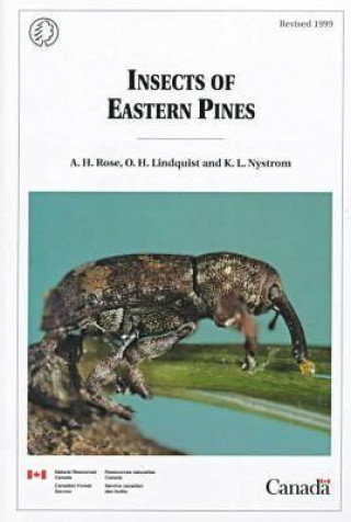 Kniha Insects of Eastern Pines Kathryn L. Nystrom