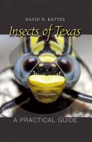 Knjiga Insects of Texas David H. Kattes