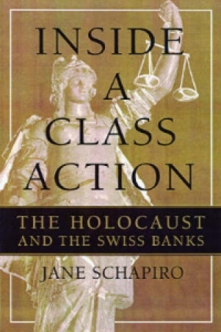 Knjiga Inside a Class Action Jane Schapiro