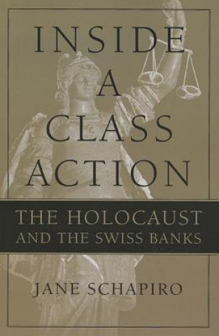 Kniha Inside a Class Action Jane Schapiro