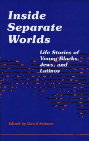 Knjiga Inside Separate Worlds David Schoem