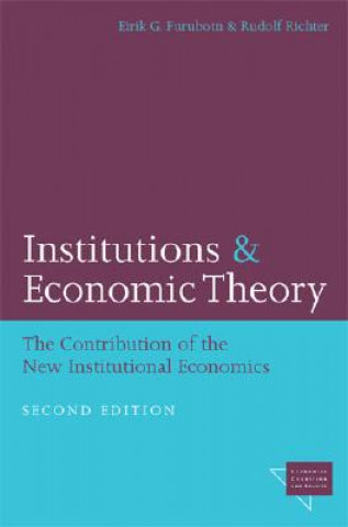 Kniha Institutions and Economic Theory Rudolf Richter