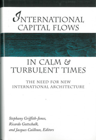 Kniha International Capital Flows in Calm and Turbulent Times 