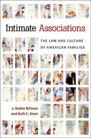 Kniha Intimate Associations Ruth C. Stern