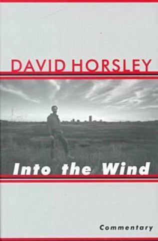 Kniha Into the Wind David Horlsey