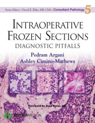 Könyv Intraoperative Frozen Sections Ashley Cimino-Mathews