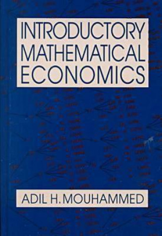 Kniha Introductory Mathematical Economics Adil H. Mouhammed