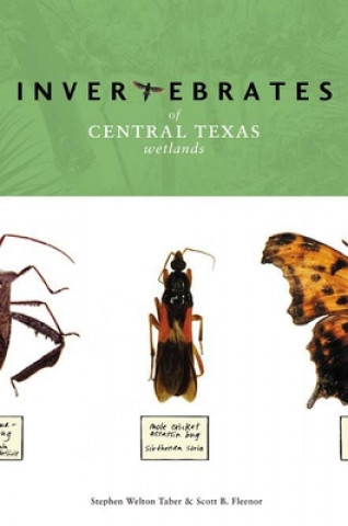 Kniha Invertebrates of Central Texas Wetlands Scott B. Fleenor