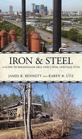 Книга Iron & Steel Karen R. Utz